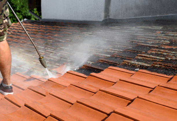Best Pressure Washing Company Near Me  in Baltimore Highlands, MD
